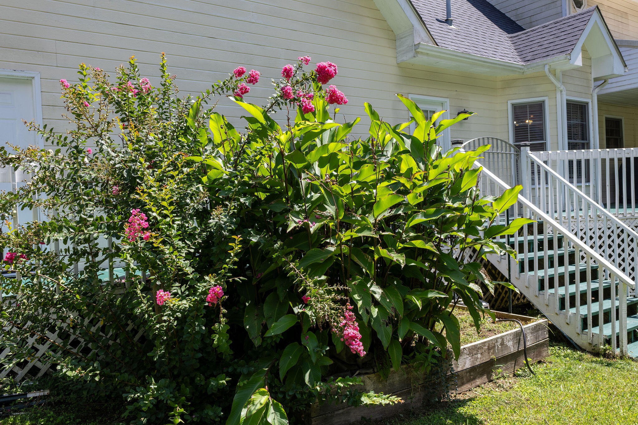 443 Tigues Creek Road Dayton, TN 37321 - Photo 17 of 61 Gallery Image 17