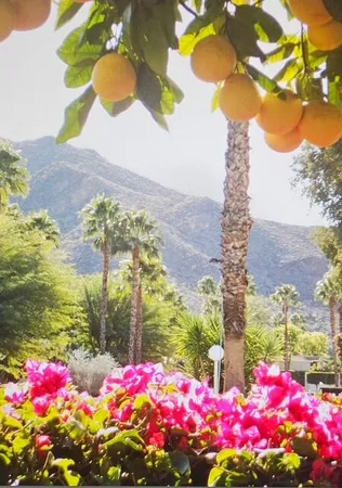 $3,800 | 3447 Andreas Hills Drive, Palm Springs, CA 92264