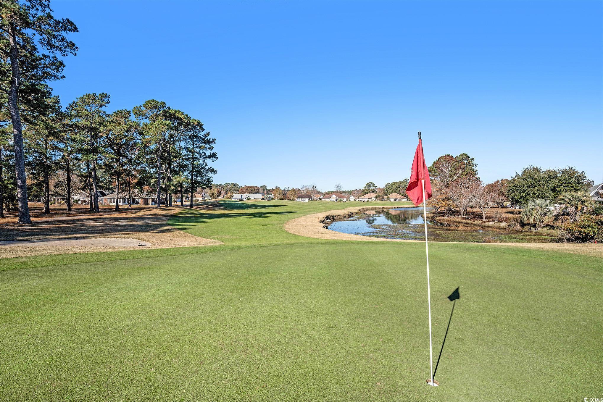 673 Tupelo Lane, Unit 19B Longs, SC 29568 - Photo 24 of 29