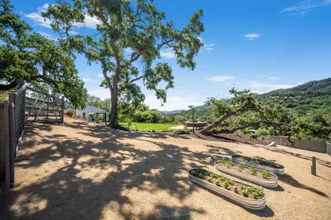 a view of path along with trees