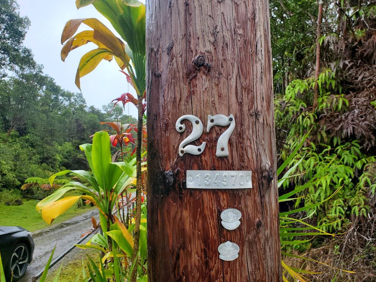 18-1455 Ihope Road Mountain View, HI 96771 - Photo 2 of 11 a picture of a plant