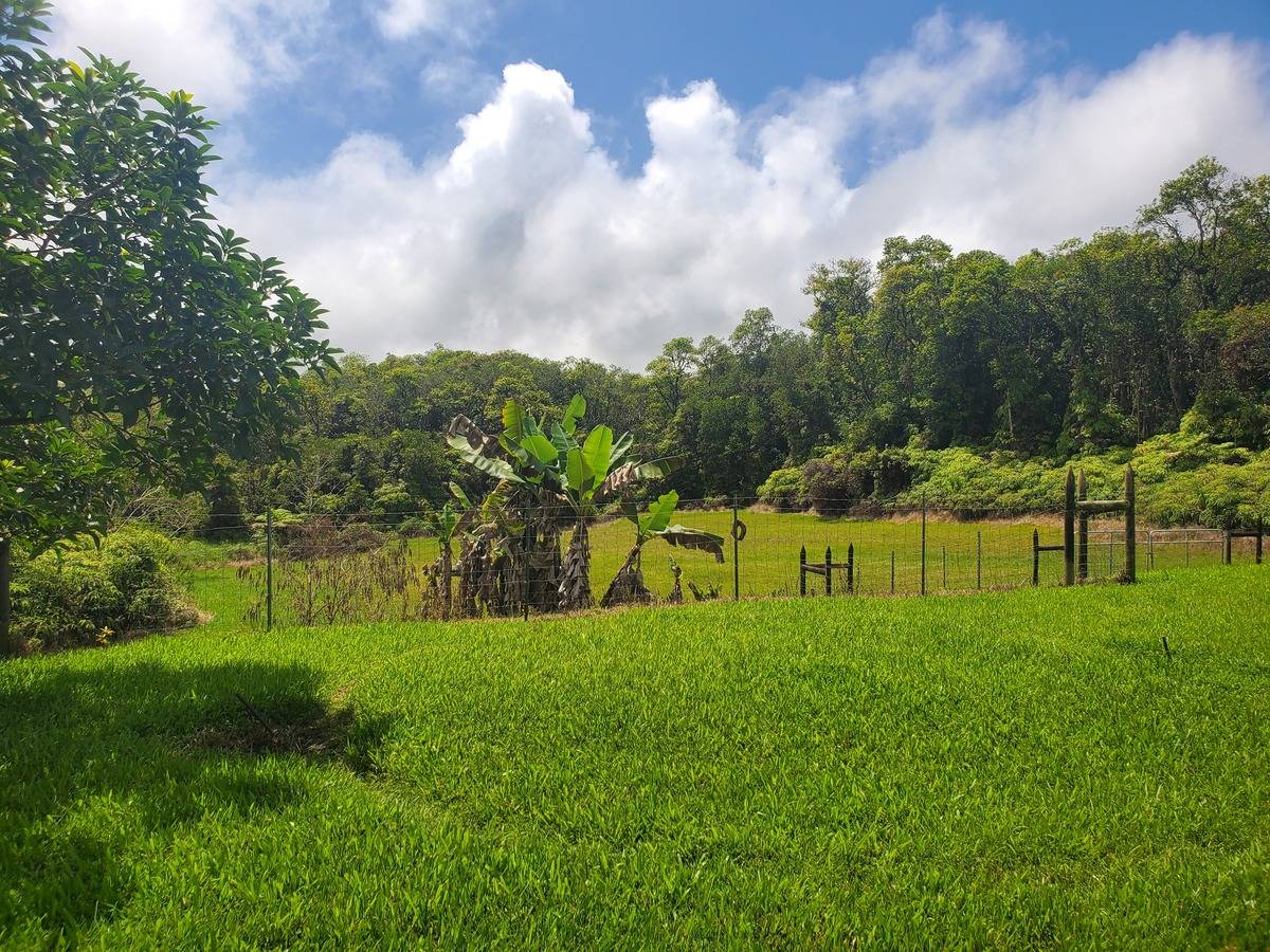 18-1455 Ihope Road Mountain View, HI 96771 - Photo 8 of 11 a view of a park