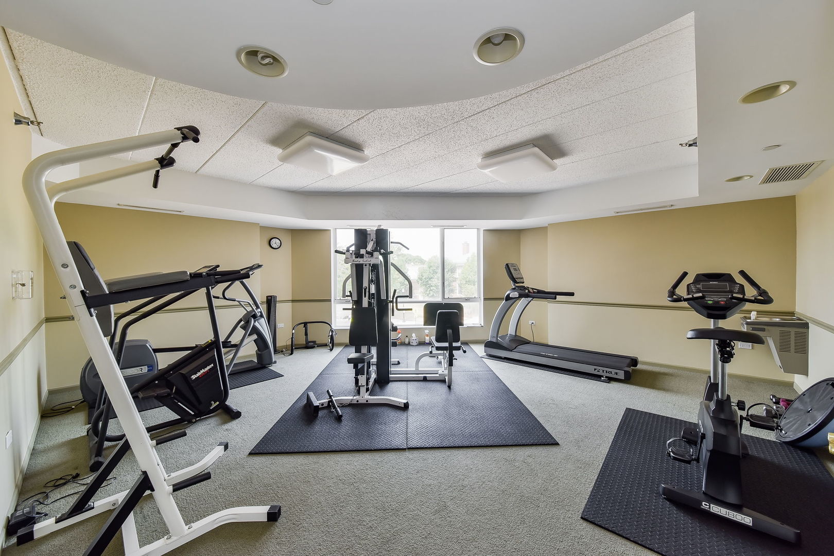 111 North Wheaton Avenue, Unit 407 Wheaton, IL 60187 - Photo 12 of 12 a view of a room with gym equipment