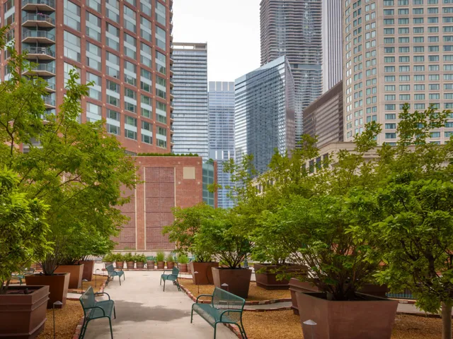 a view of a patio with plants and chairs