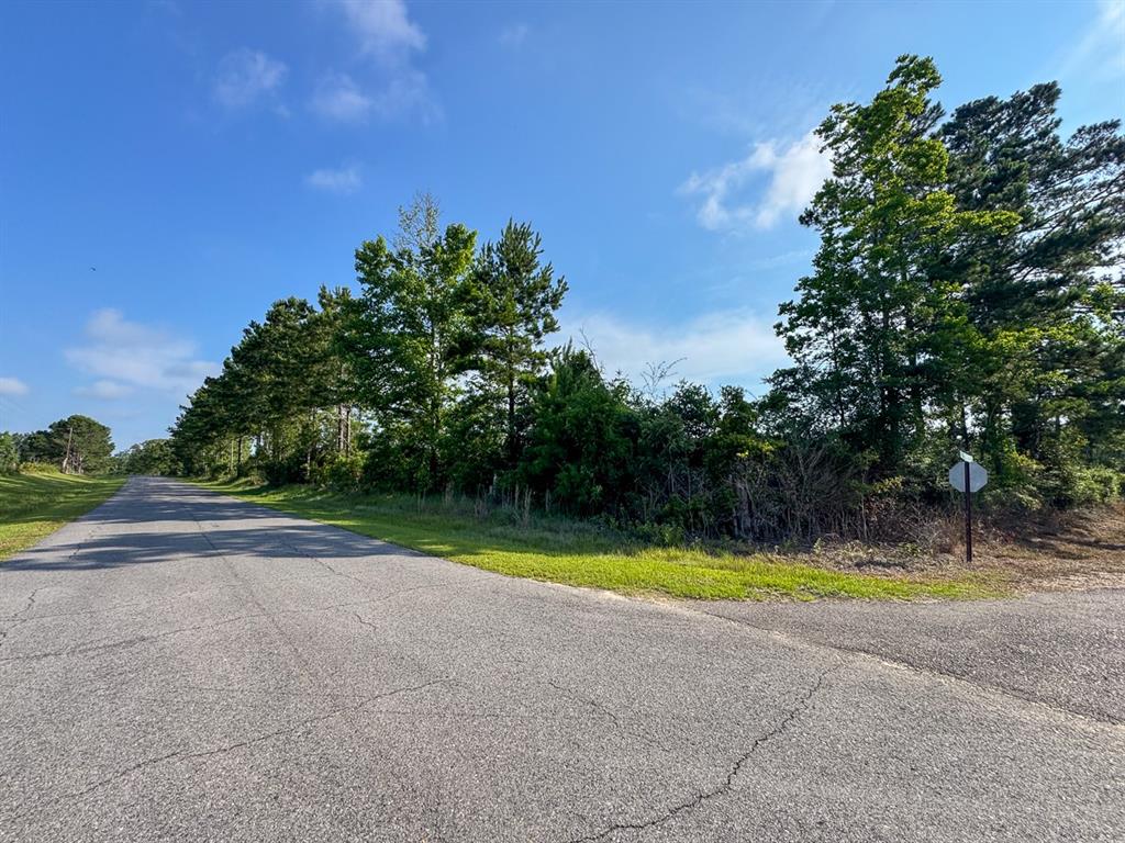 T-1 Ellis West Road Pitkin, LA 70656 - Photo 11 of 18