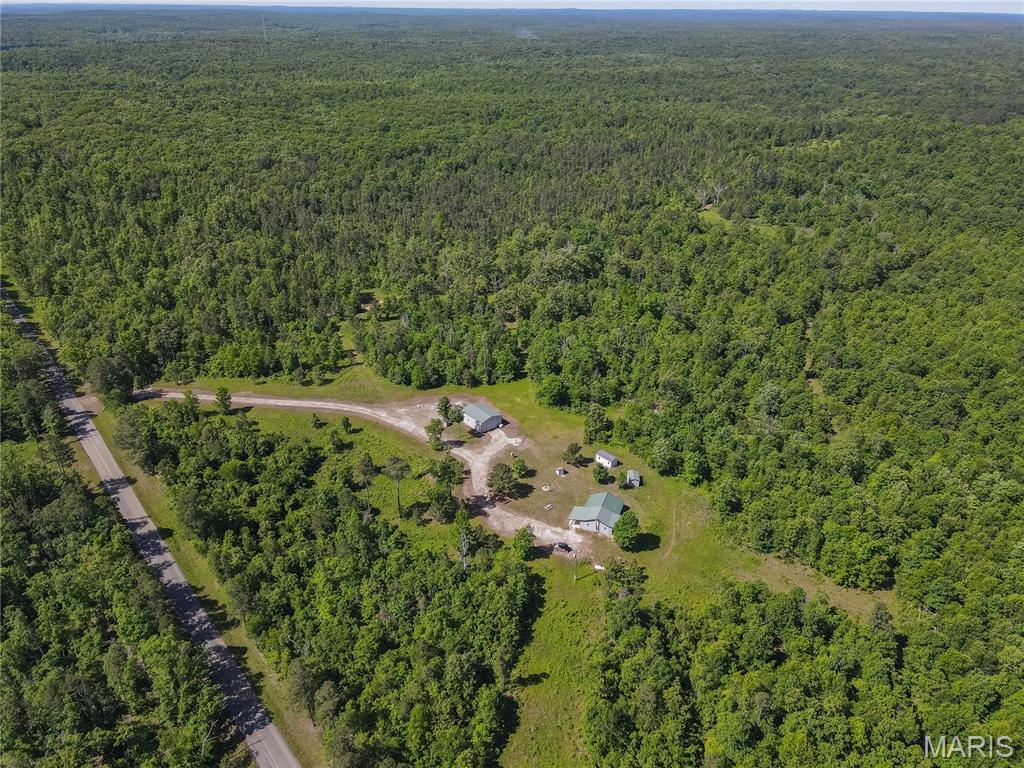 1743 Ripley Route North Doniphan, MO 63935 - Photo 53 of 97