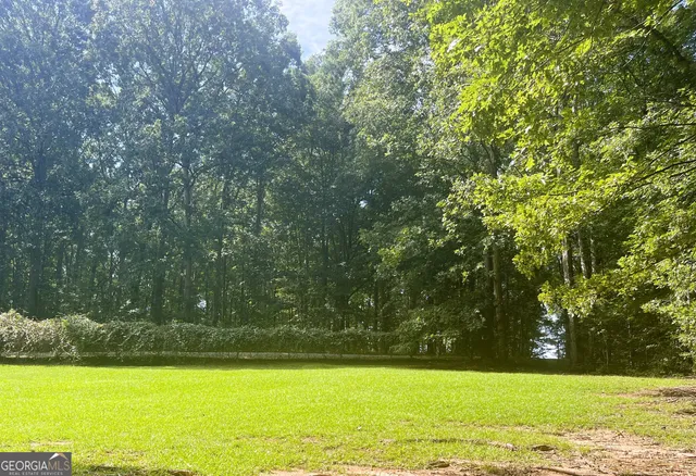 a view of outdoor space and trees