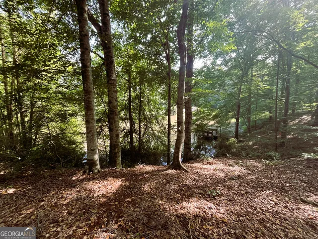 a view of outdoor space with trees