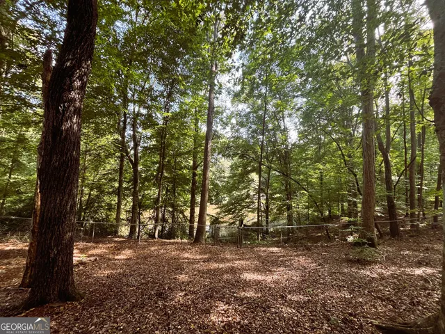 a view of a yard with swimming pool