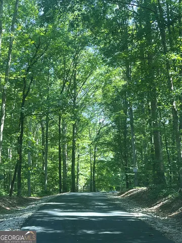 a view of a trees with a trees