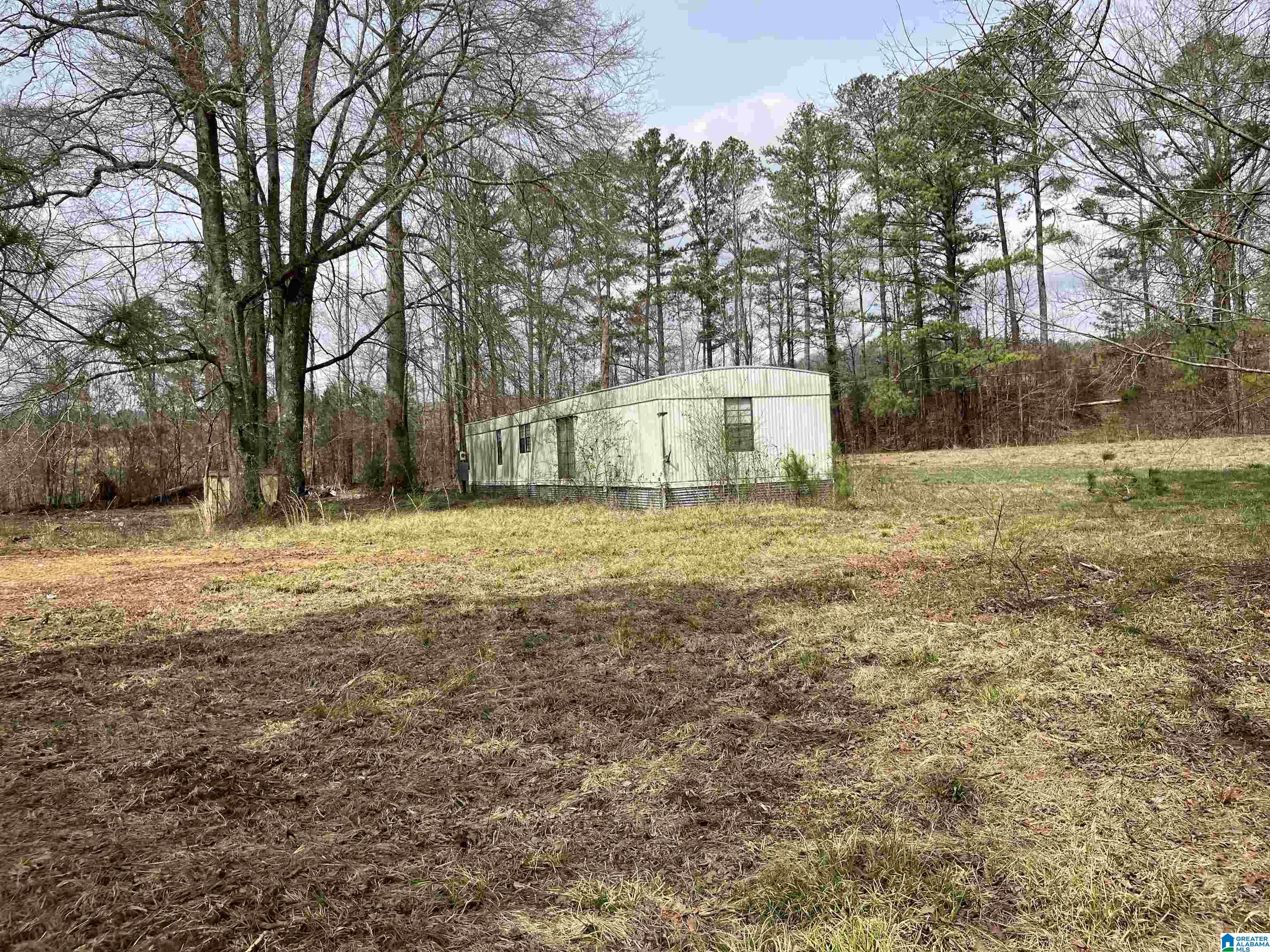 4624 Greensport Road Ashville, AL 35953 - Photo 3 of 37