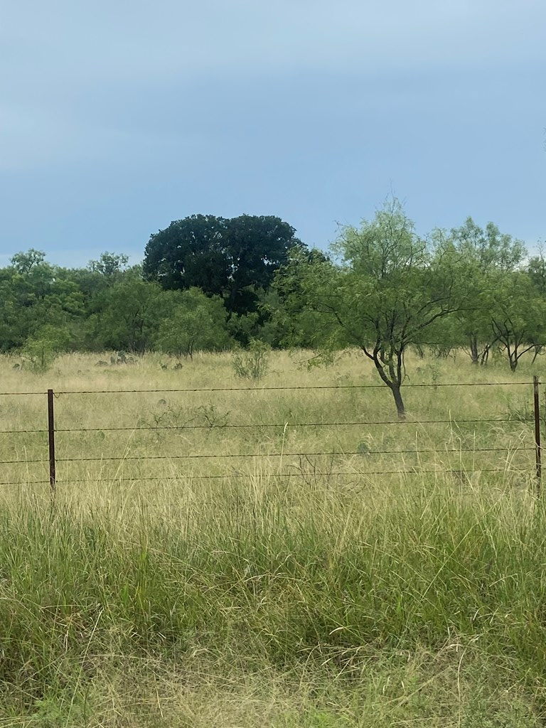 189 Par Don Road Mason, TX 76856 - Photo 6 of 11