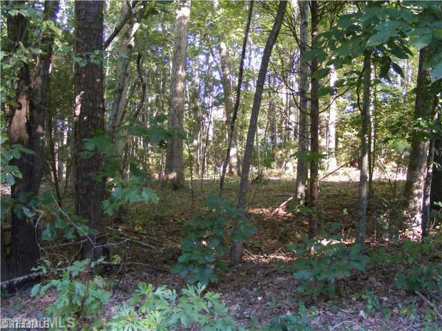 Lot 8 Chestnut Grove Road King, NC 27021 - Photo 2 of 2 Exterior Front.