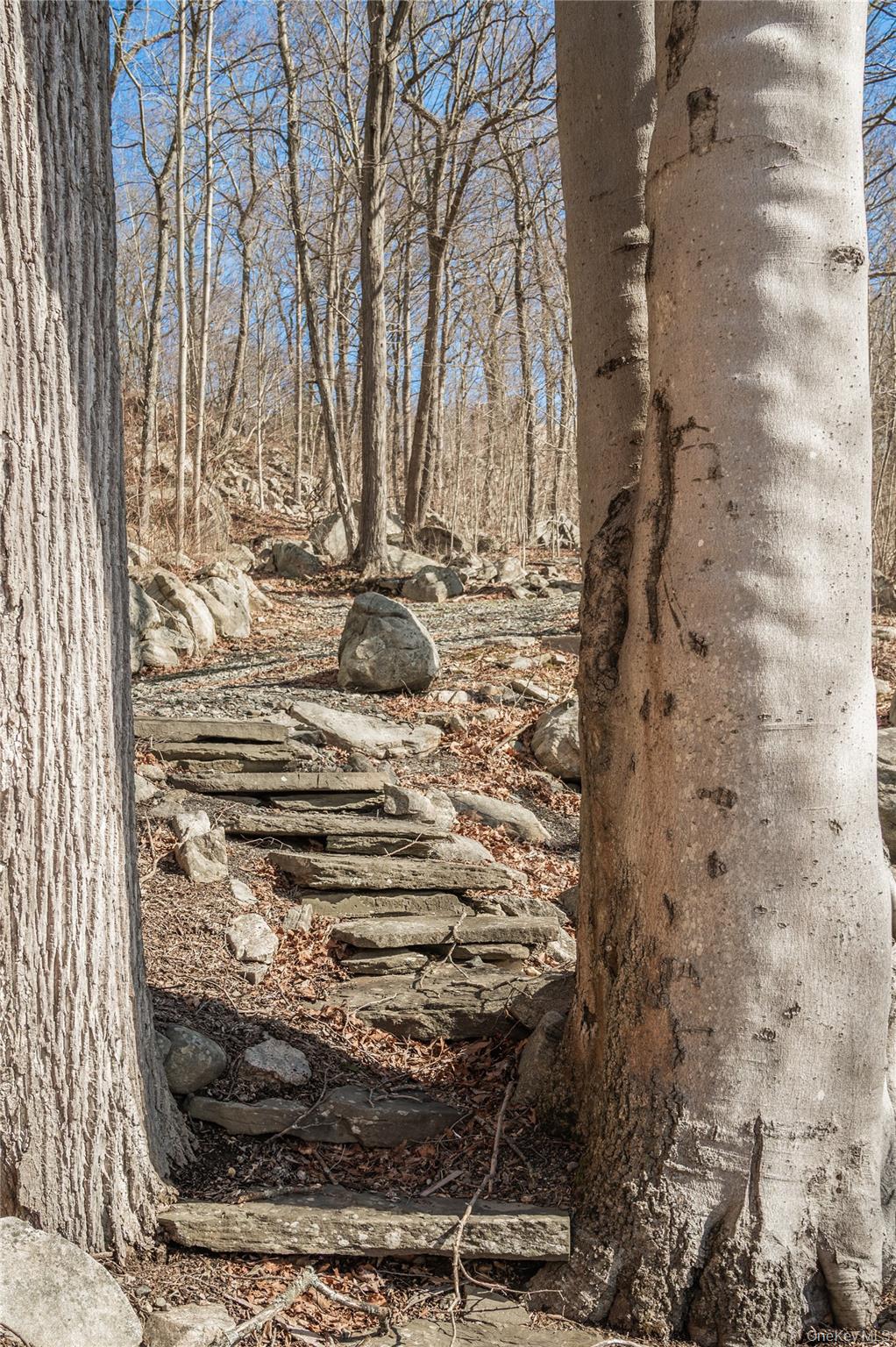 4 Springhouse Road Sloatsburg, NY 10974 - Photo 45 of 49