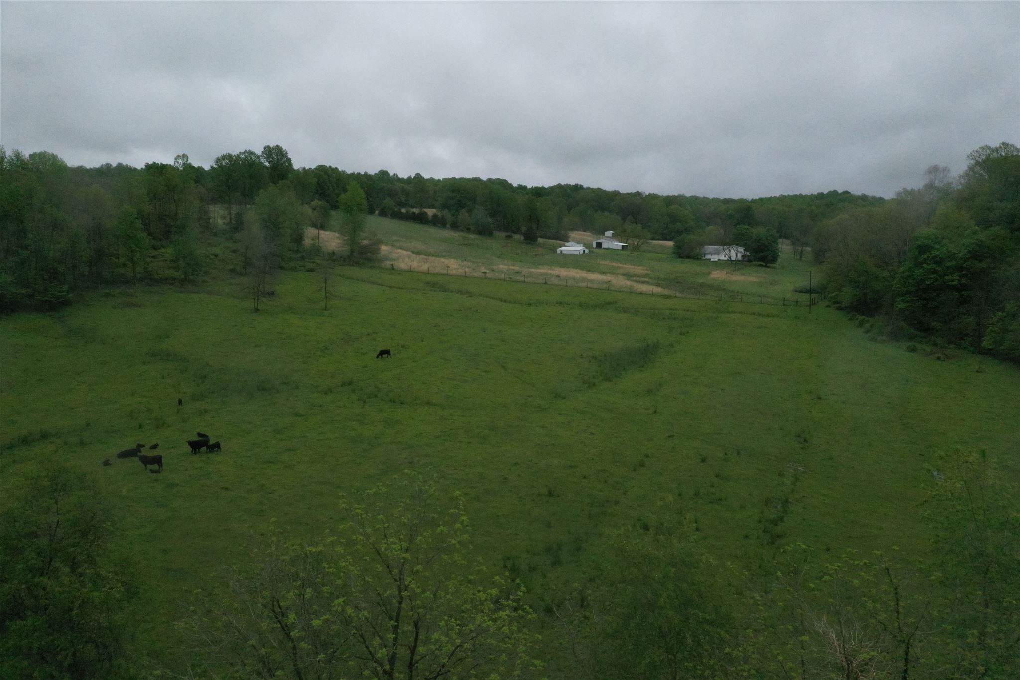 2351 North Kelly Branch Road Bloomfield, IN 47424 - Photo 27 of 36