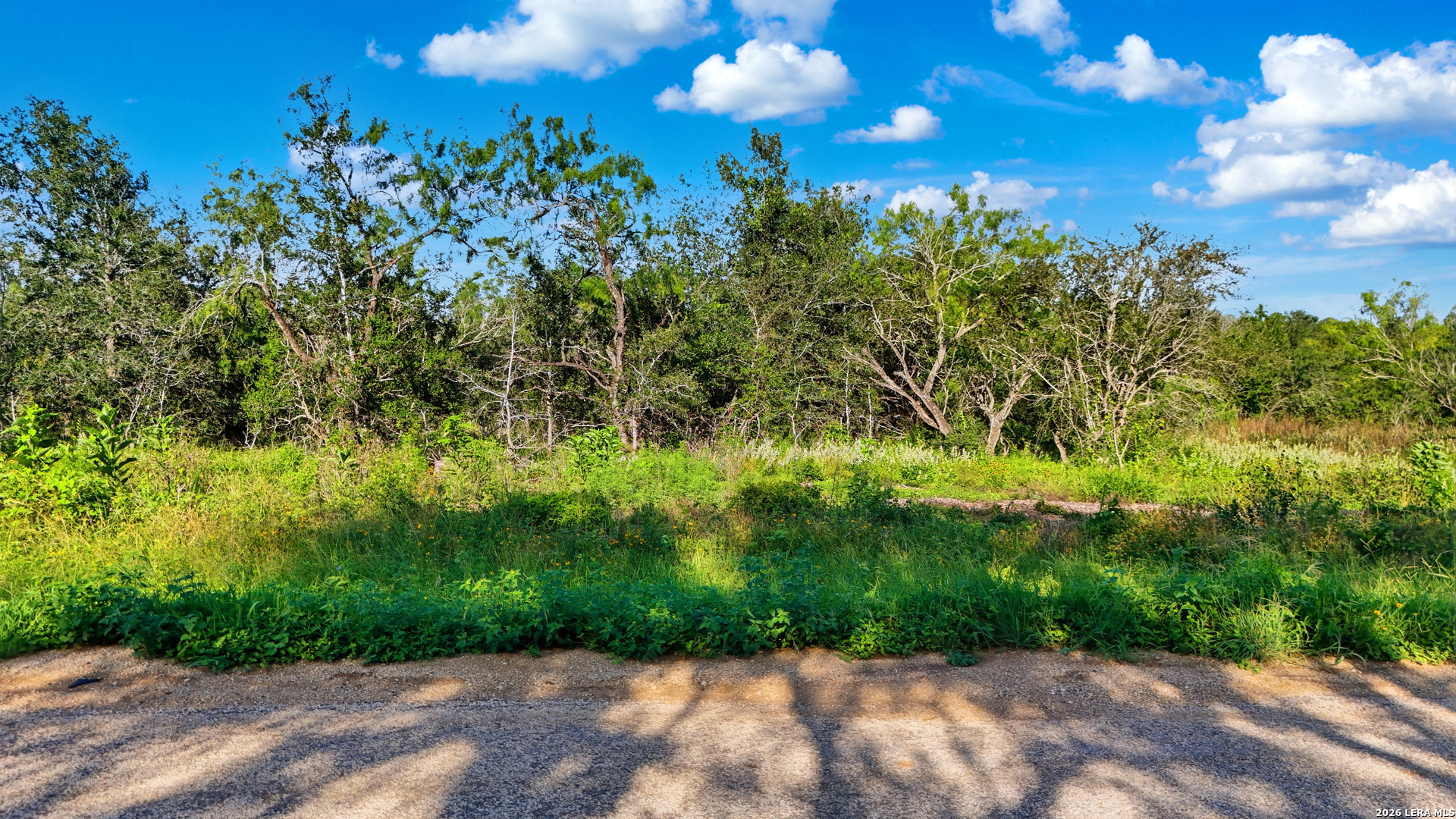 485 Marrou Road Seguin, TX 78155 - Photo 2 of 12