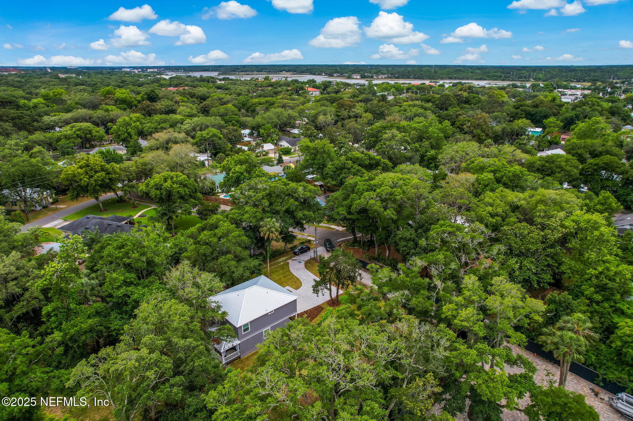 44 Hildreth Drive St. Augustine, FL 32084 - Photo 62 of 63 a view of a garden from a yard