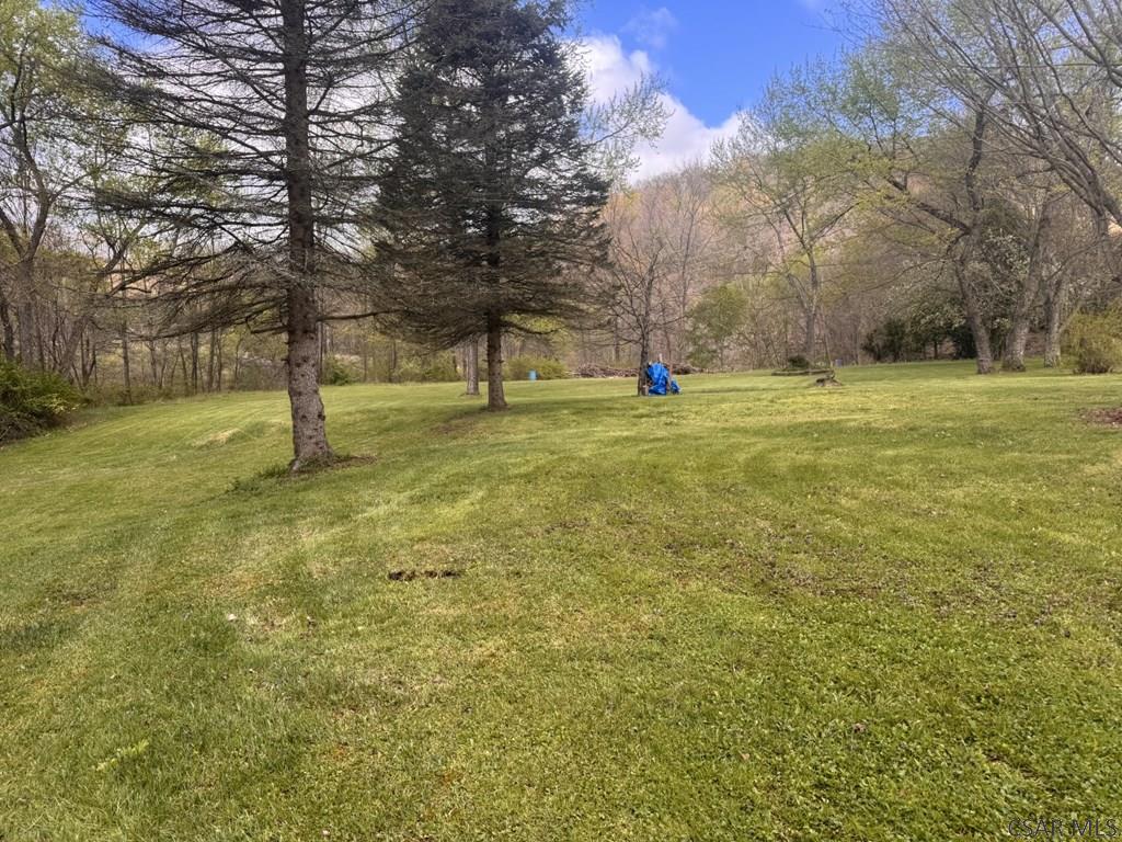 127 1st Street Twin Rocks, PA 15960 - Photo 5 of 20 a view of field with trees