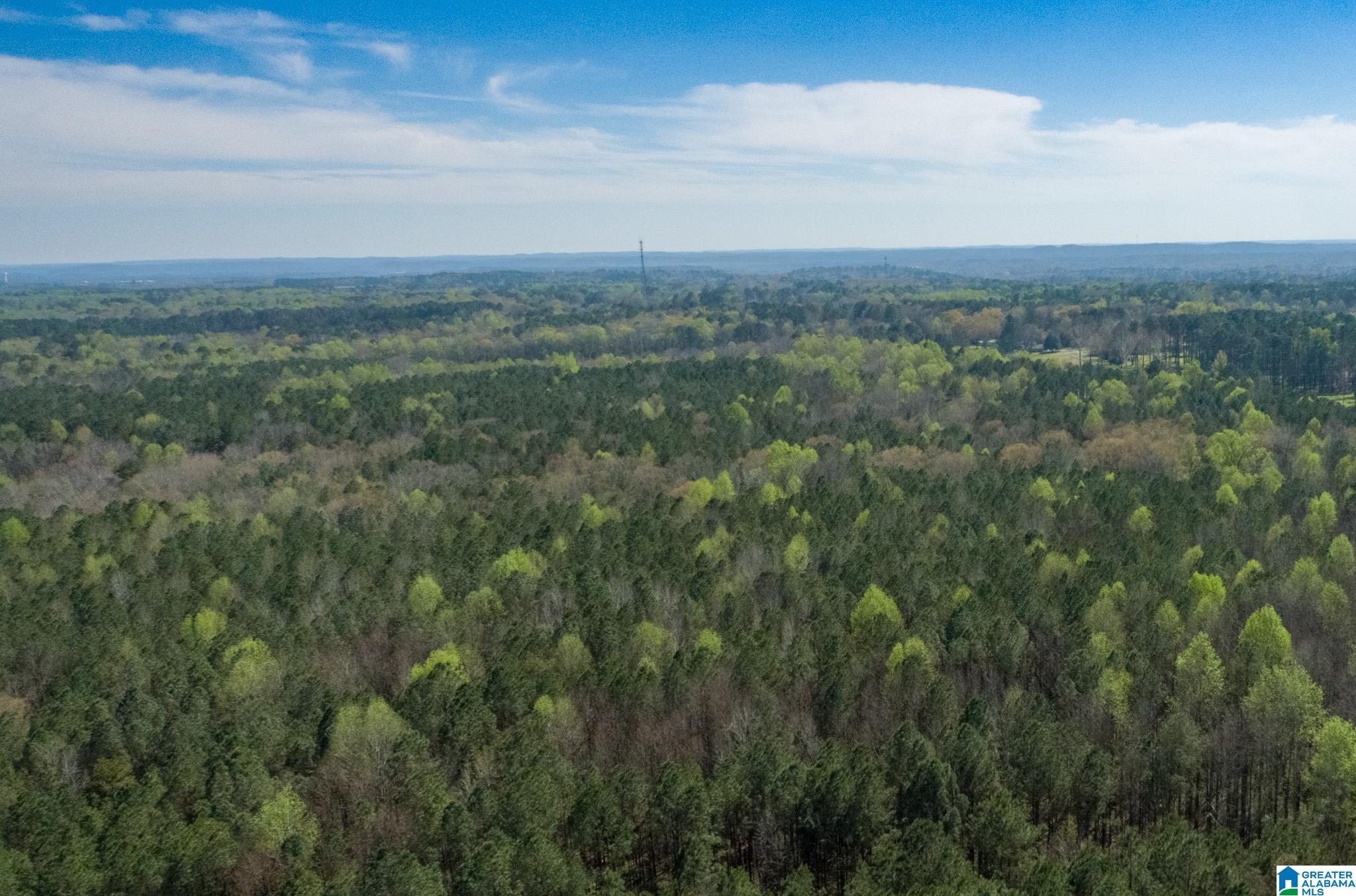 Airport Road, Unit 1 Jasper, AL 35504 - Photo 3 of 4