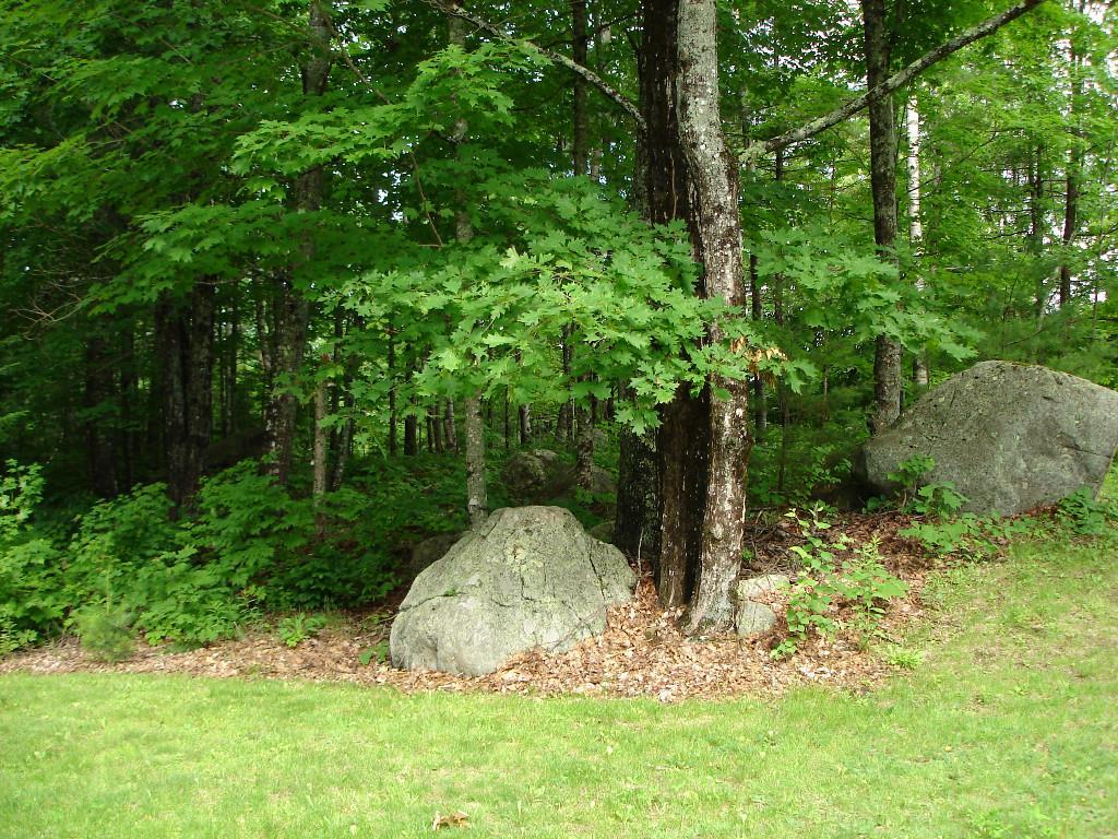311 Weeks Mills Road Windsor, ME 04363 - Photo 27 of 34 Landscaping