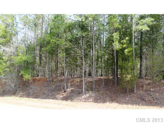 0 McElroy Road, Unit 166 Waxhaw, NC 28173 - Photo 2 of 3 Gallery Image 2