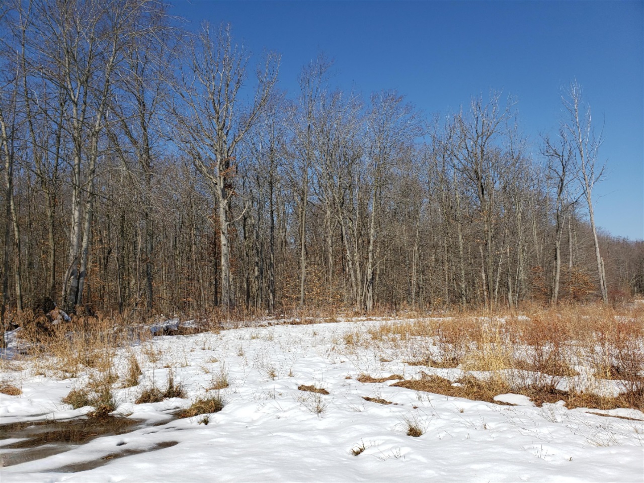 Vl Paw Paw Lake Road Covert, MI 49043 - Photo 21 of 31 Gallery Image 21