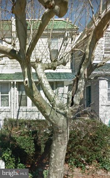 259 Bayard Road Upper Darby, PA 19082 - Photo 1 of 1 a view of a house with a tree in the yard