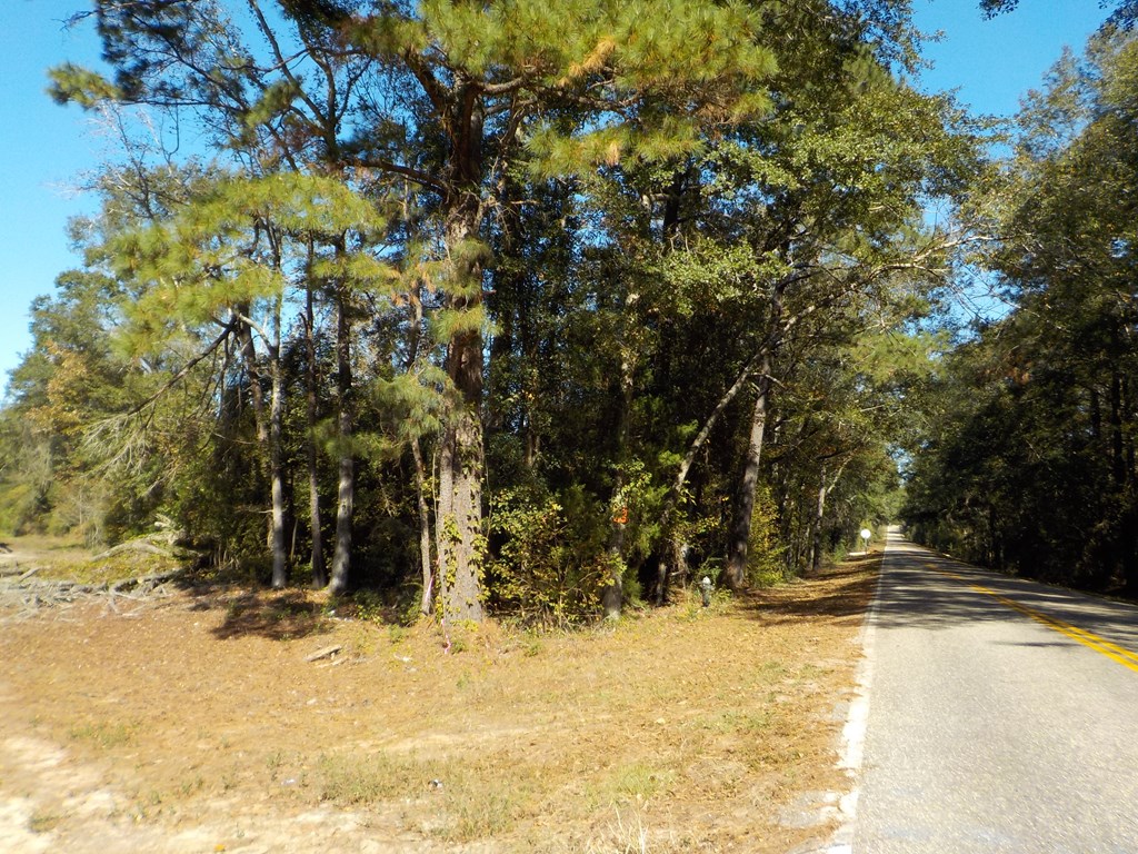 65.49-ac Drew Road Dothan, AL 36301 - Photo 27 of 29