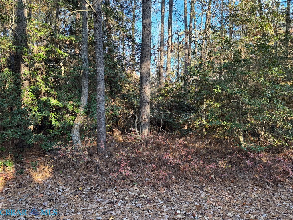 Tbd Ridge Road Lancaster, VA 22503 - Photo 2 of 8 Gallery Image 2