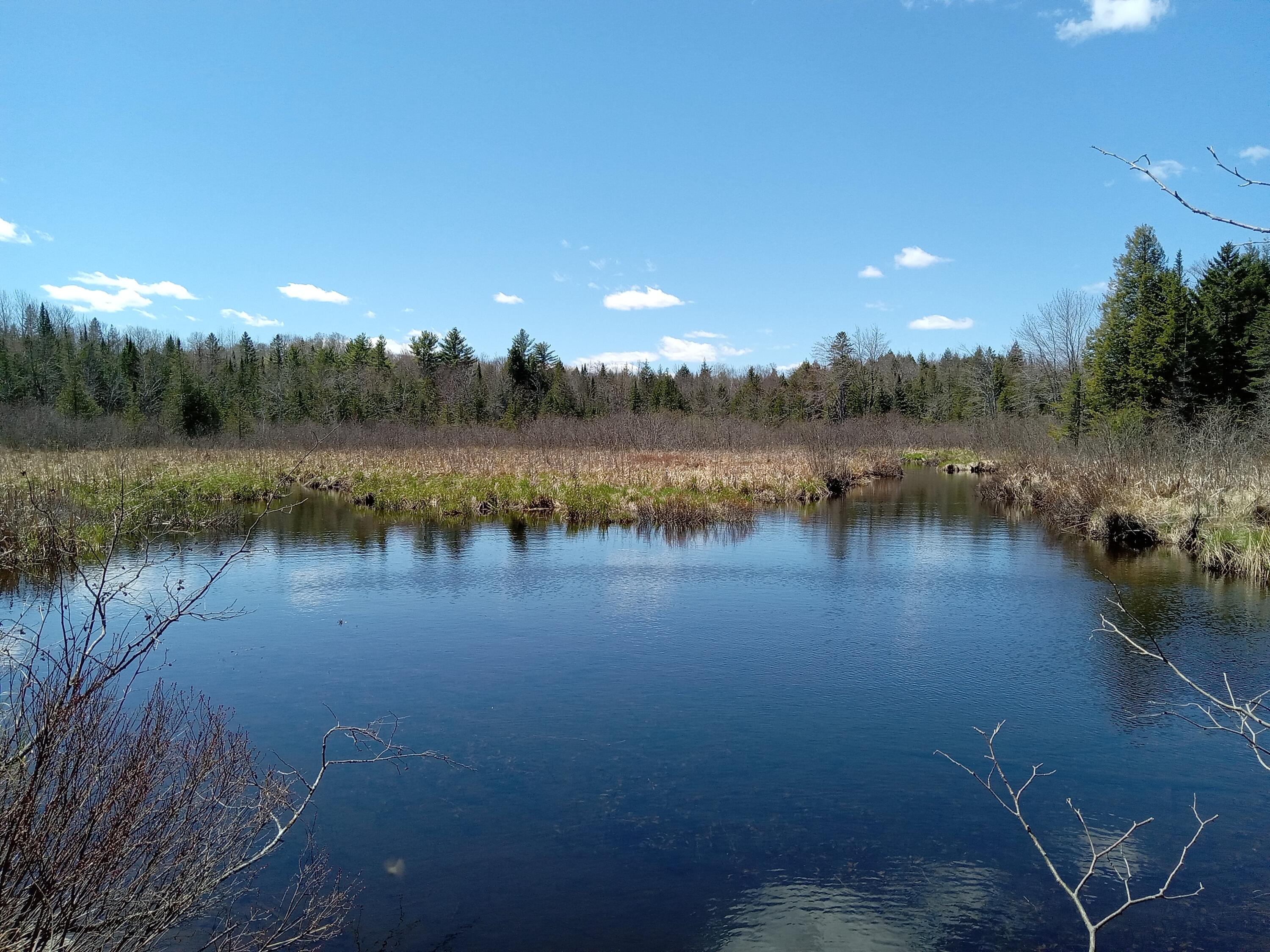 132 Village Road Jackson, ME 04921 - Photo 1 of 43 20240507_133219