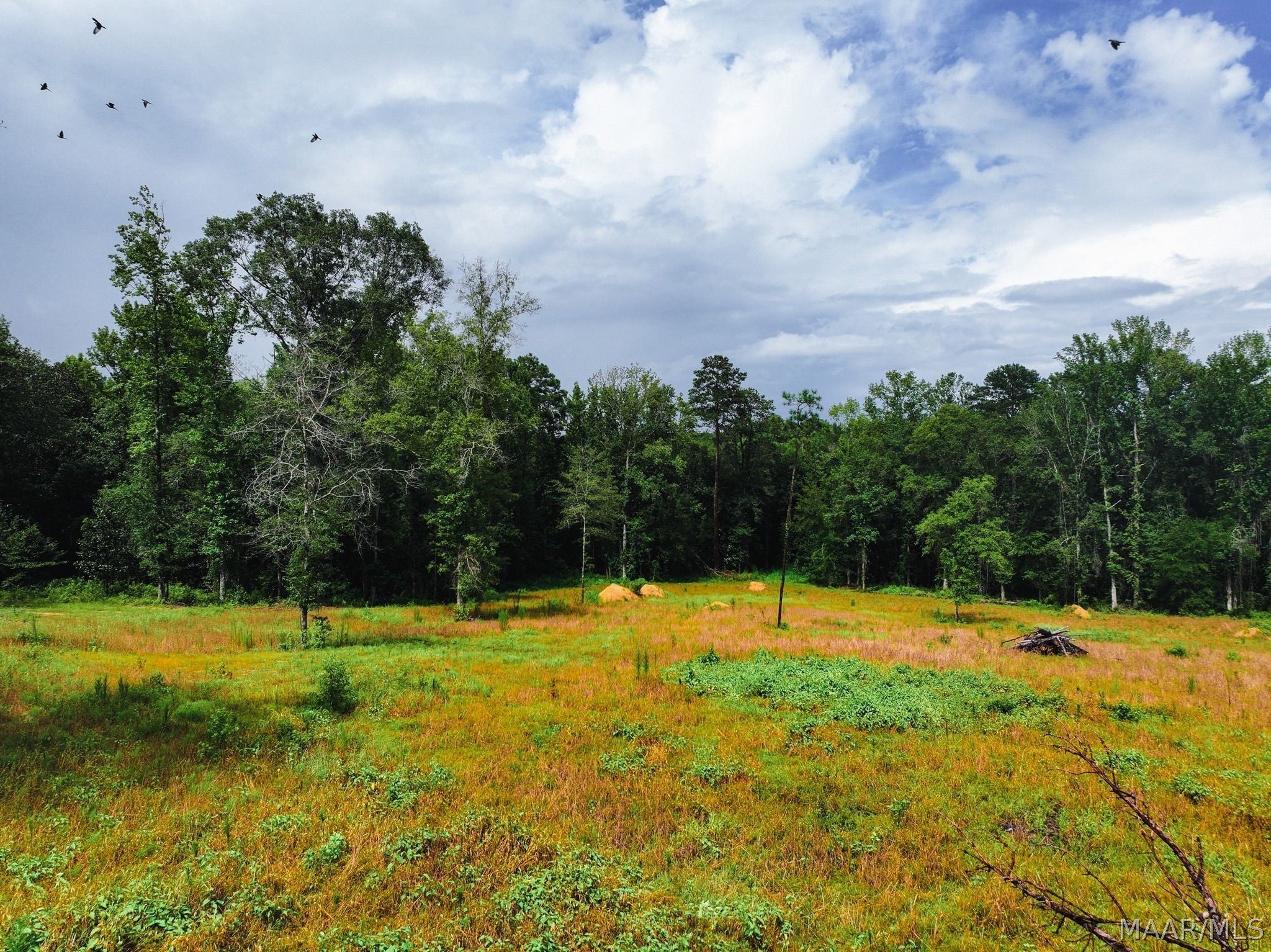 13 County Road 24 Road Auburn, AL 36830 - Photo 9 of 10 Gallery Image 9