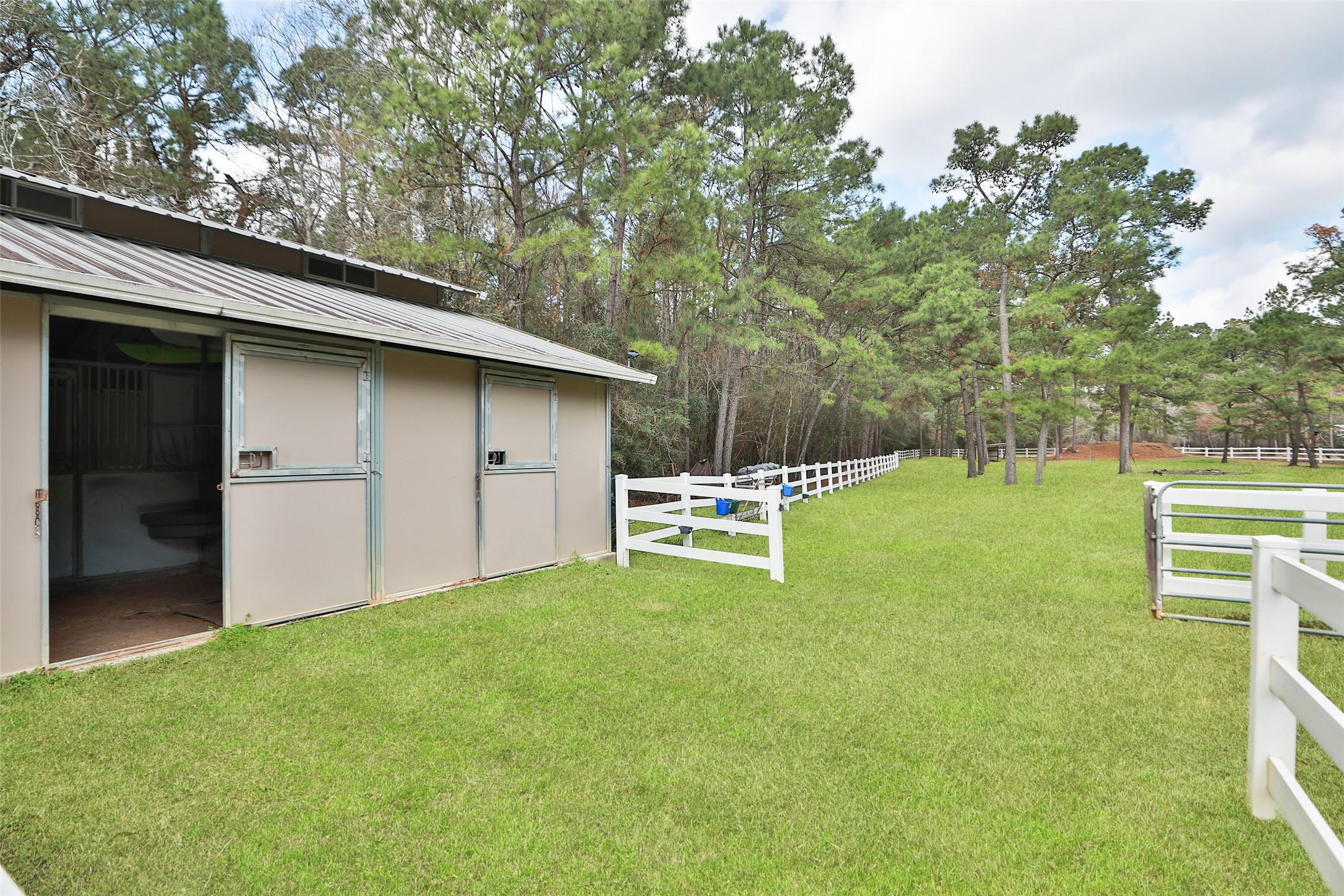 7514 Saddle Blanket Drive Waller, TX 77484 - Photo 42 of 50 These two stalls have doors that open to the pasture area.