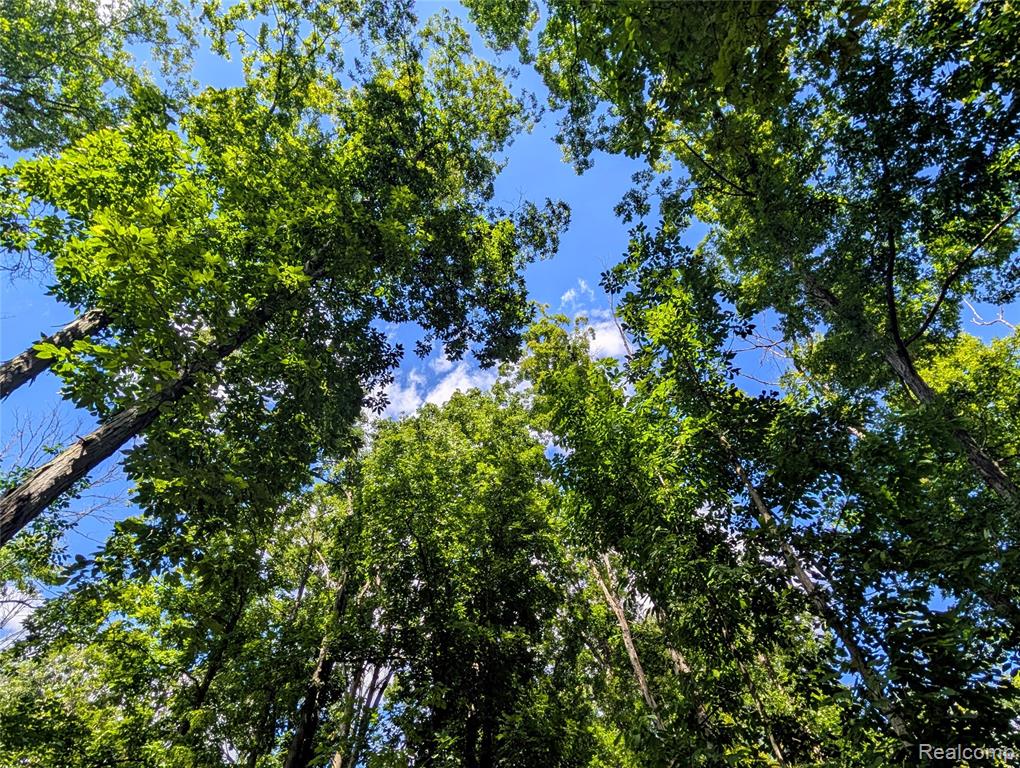 0 South Maywood Road Ashley, MI 48806 - Photo 23 of 32