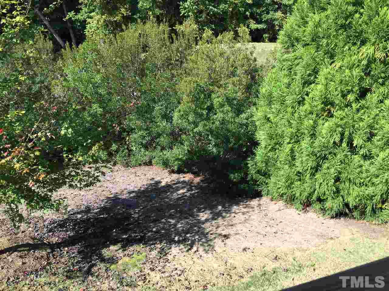 1314 Ranchester Road Knightdale, NC 27545 - Photo 4 of 25 a view of a dry yard with trees