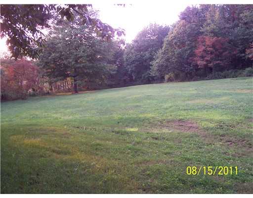 939 Brownstown Road Apollo, PA 15613 - Photo 10 of 13 Yard/Garden.