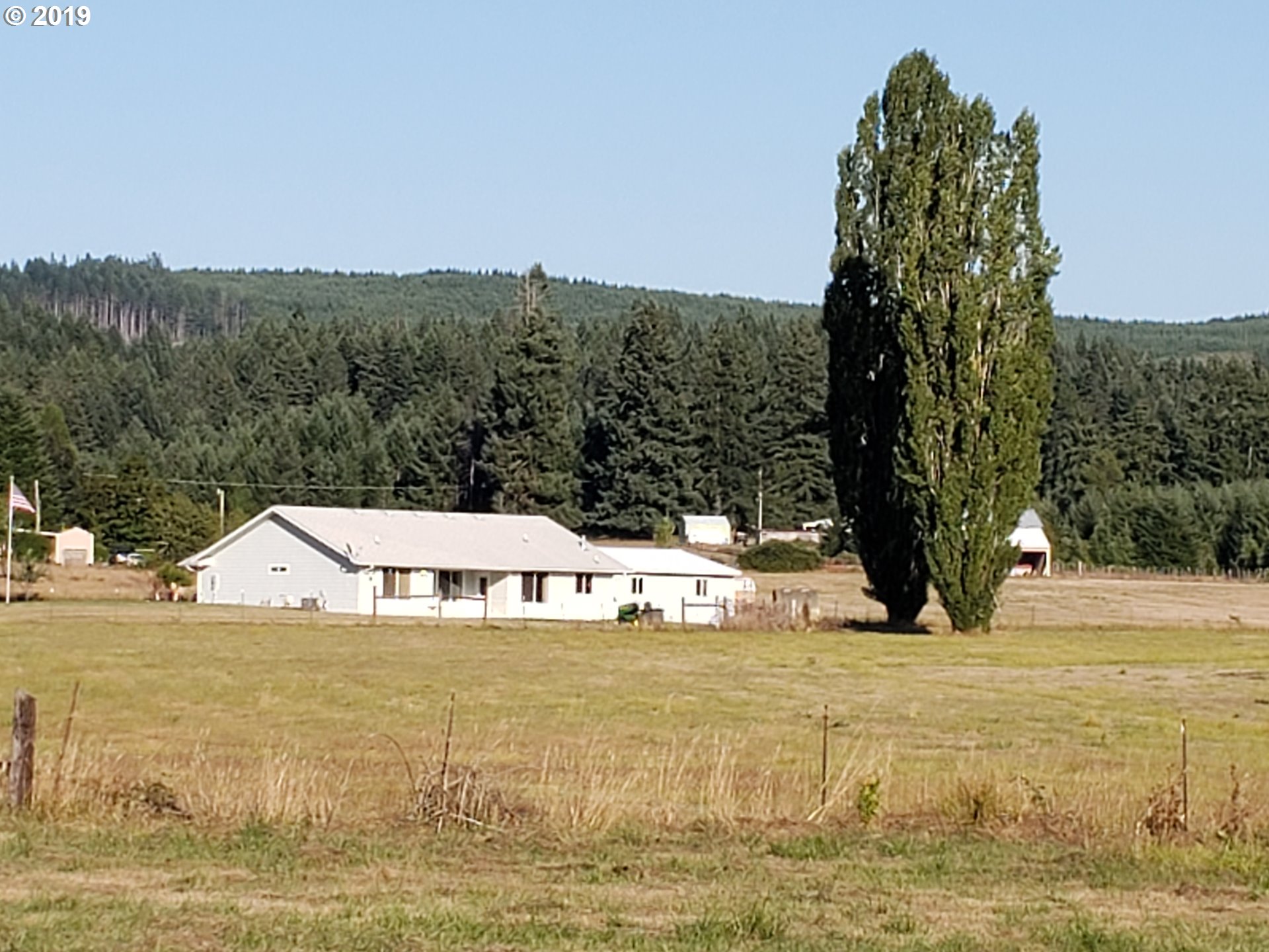 686 Upper Camas Road Camas Valley, OR 97416 - Photo 4 of 25