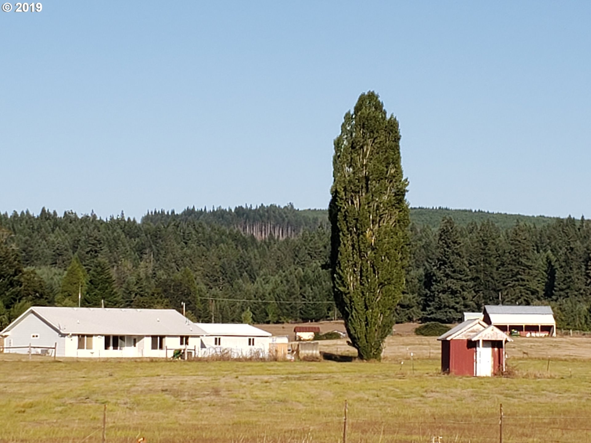 686 Upper Camas Road Camas Valley, OR 97416 - Photo 5 of 25