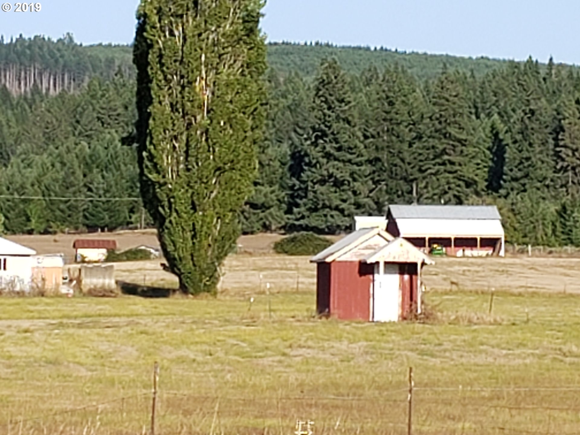 686 Upper Camas Road Camas Valley, OR 97416 - Photo 6 of 25