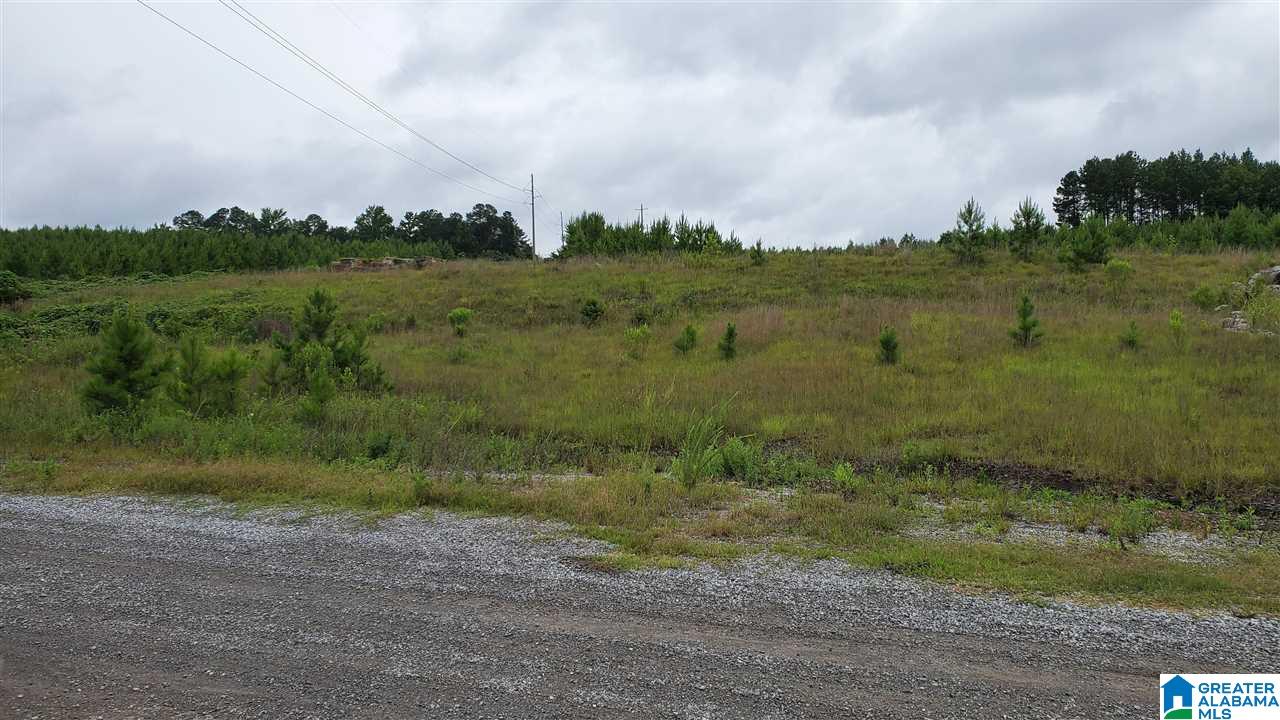 0 County Road 270 Montevallo, AL 35115 - Photo 6 of 9