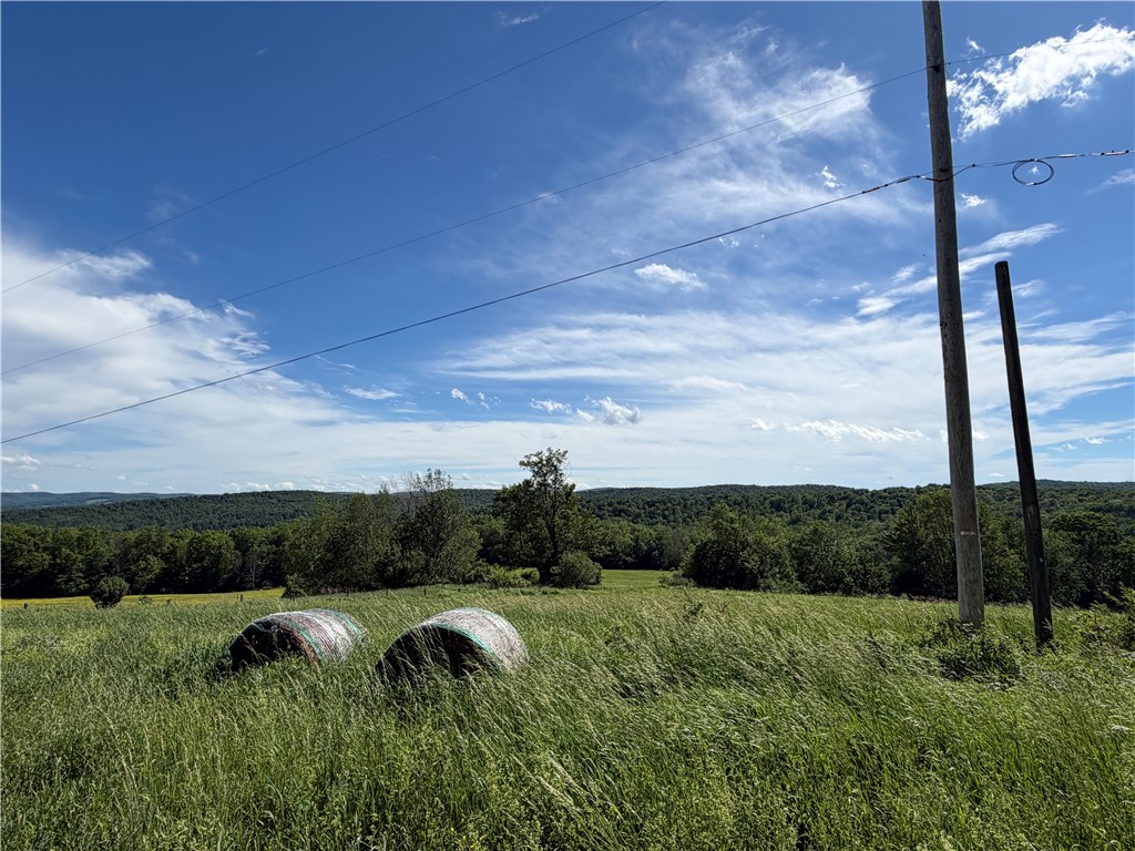 5243 Reed Road Friendship, NY 14739 - Photo 40 of 50