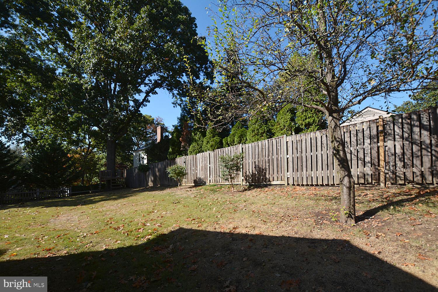 1515 23rd Road South Arlington, VA 22202 - Photo 4 of 34 BACKYARD