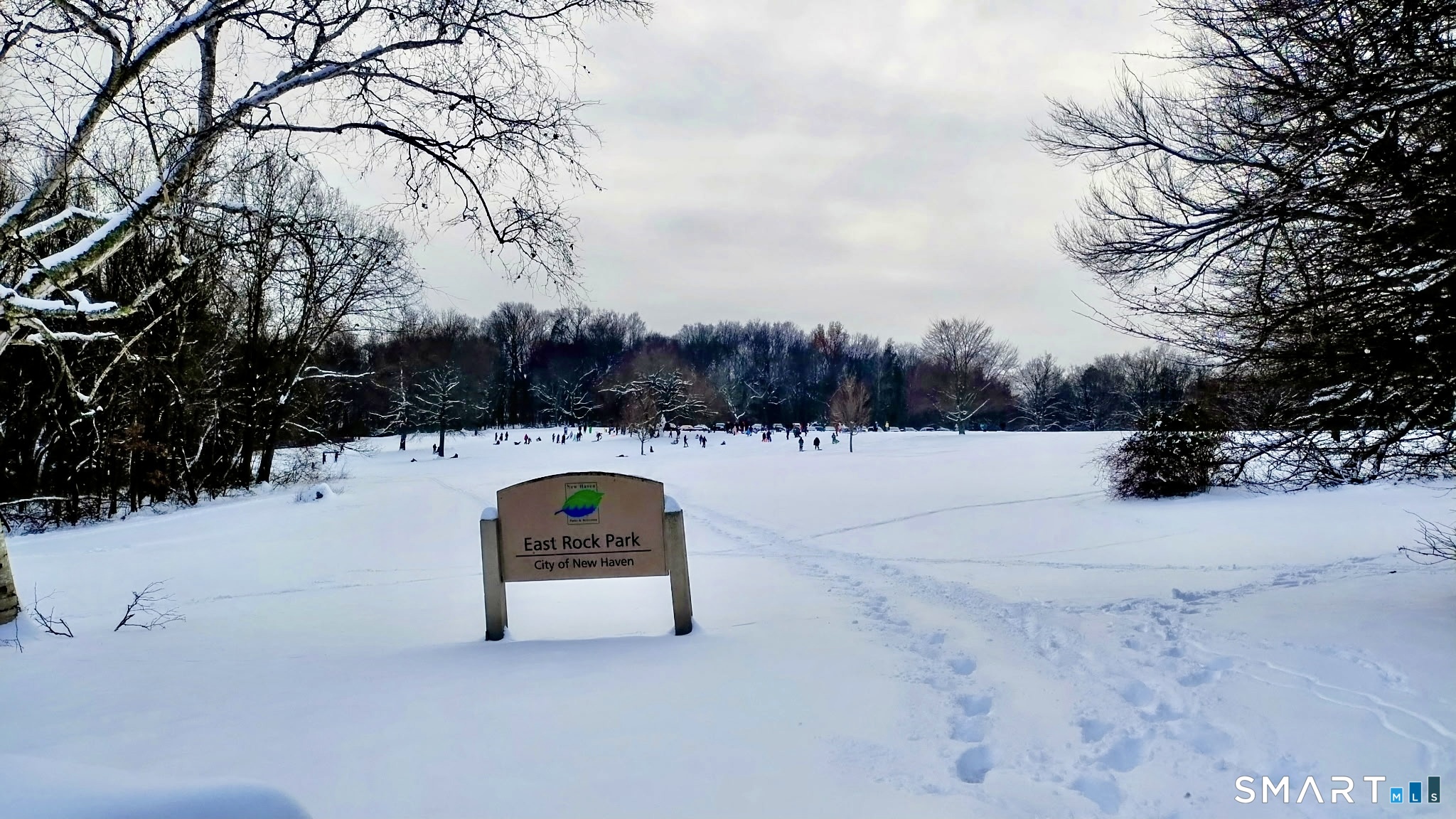 63 Park Road Hamden, CT 06517 - Photo 39 of 39 a view of street with trees