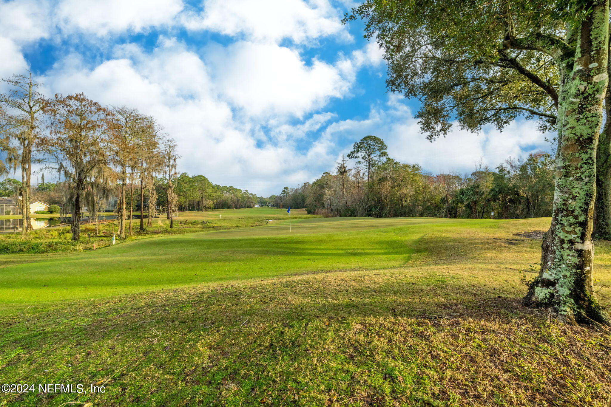 10060 Deercreek Club Road East Jacksonville, FL 32256 - Photo 85 of 105 DSC04241-HDR