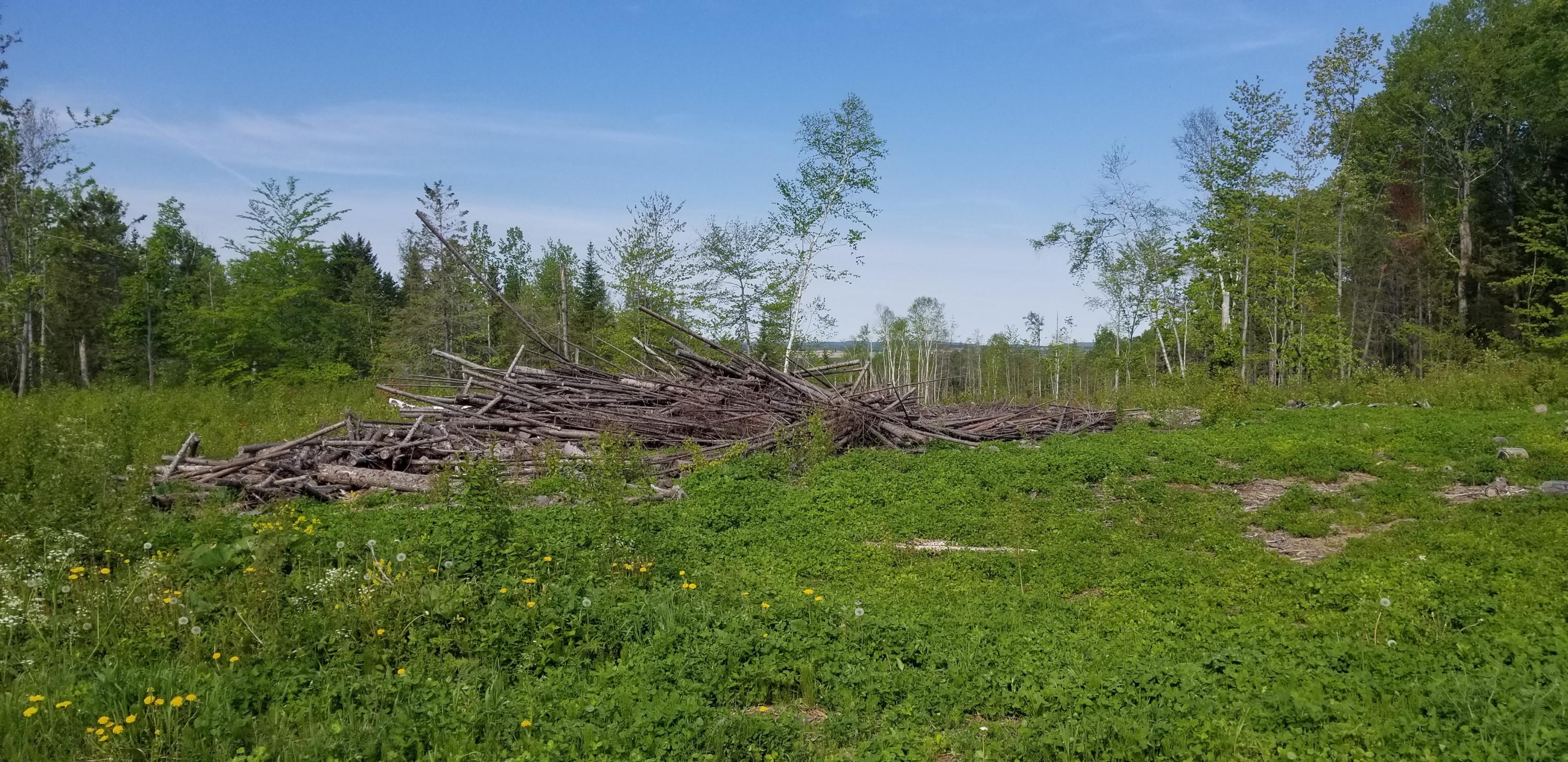 M21-l01b Sawyer Road Limestone, ME 04750 - Photo 3 of 3 56 more 007