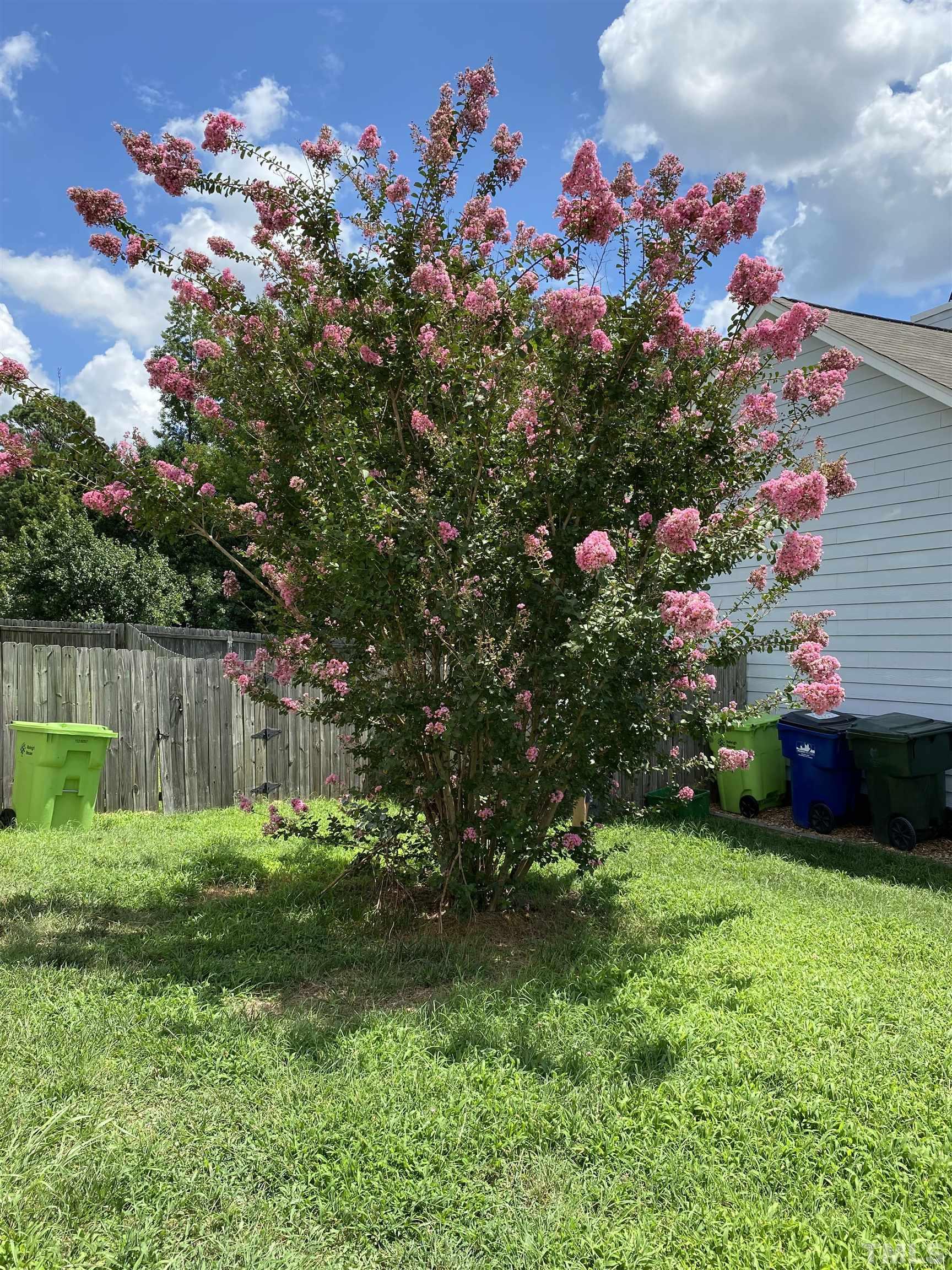 4433 Moss Spring Drive Raleigh, NC 27616 - Photo 19 of 25 a view of a flower in a yard