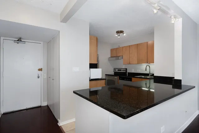 $2,325 | 30 East Huron Street, Unit 4603, Chicago, IL 60611