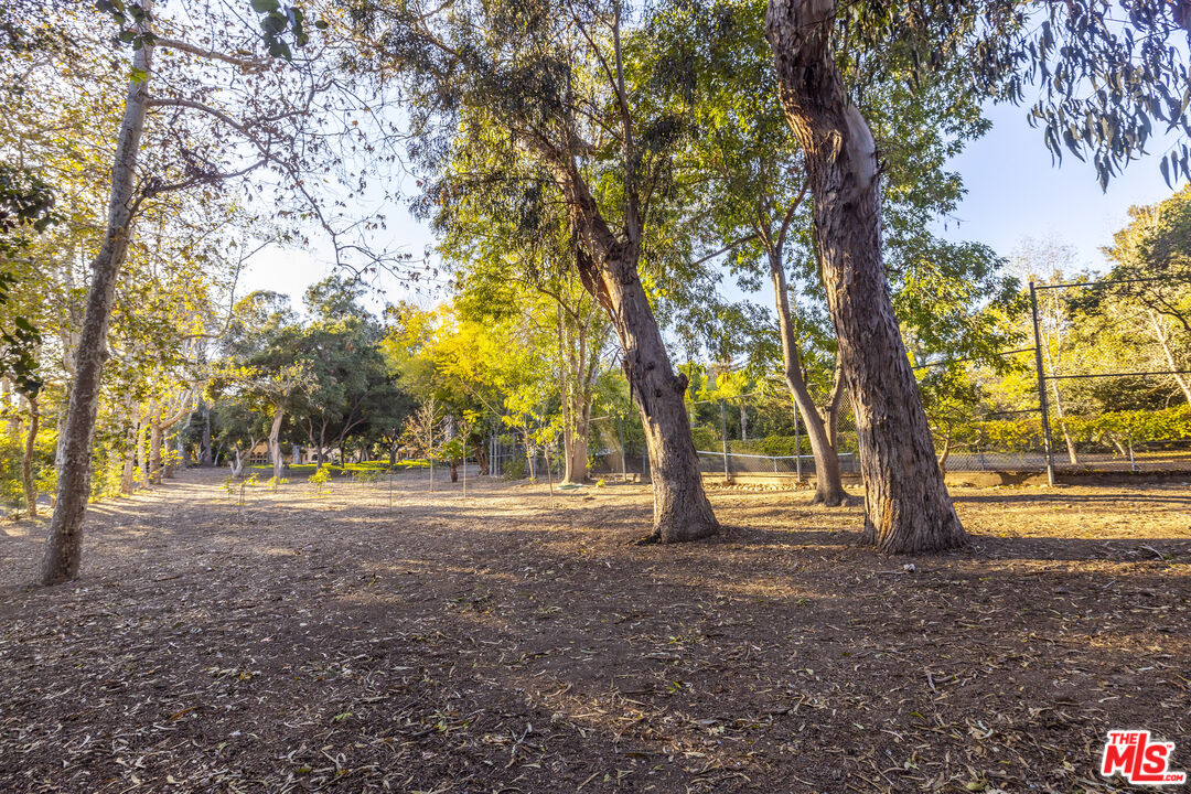 465 A Hot Springs Road Montecito, CA 93108 - Photo 4 of 8 a view of dirt yard with a tree