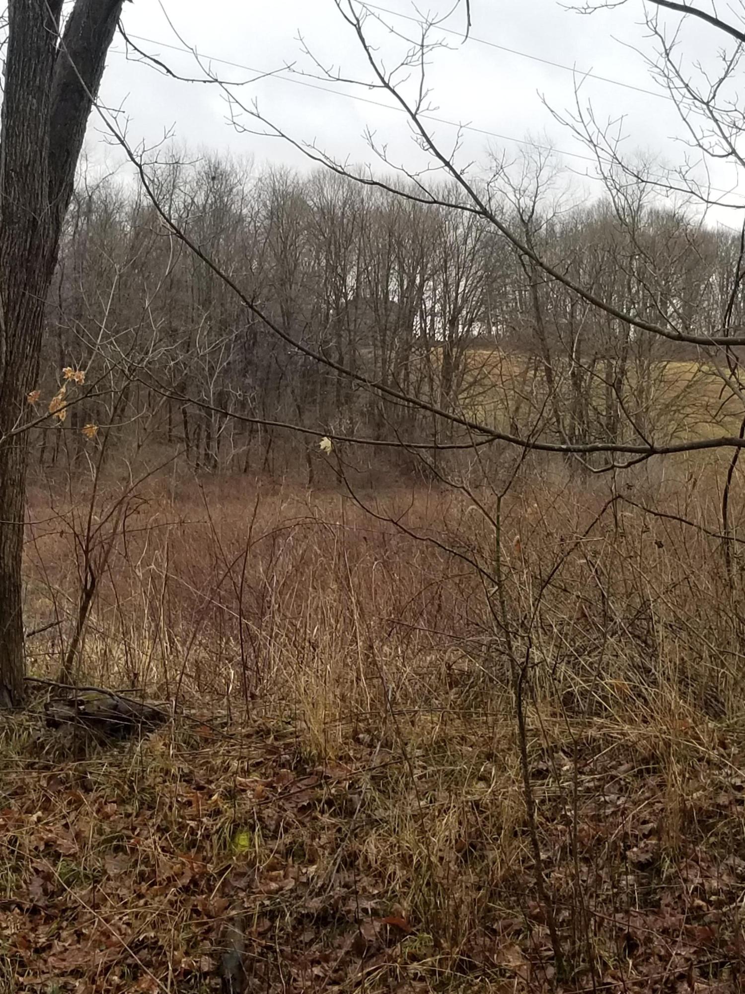 0 Pumpkin Vine Road Southeast Lancaster, OH 43130 - Photo 2 of 3