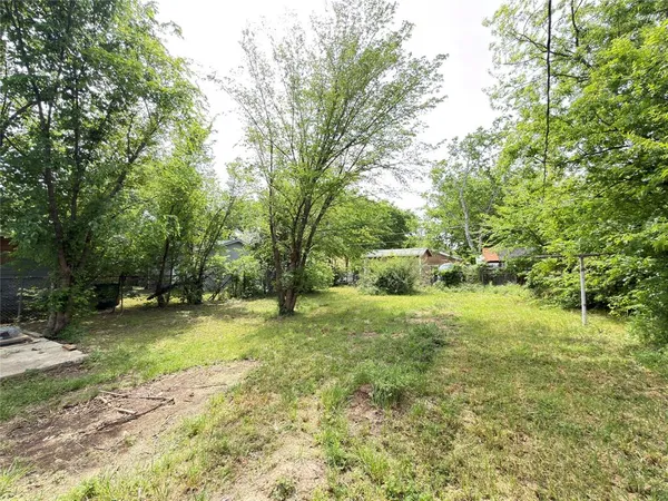 a view of a trees in a yard