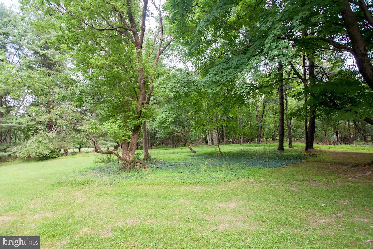 2925 Street Road Doylestown, PA 18902 - Photo 36 of 38 Open Lawn With Mature Trees
